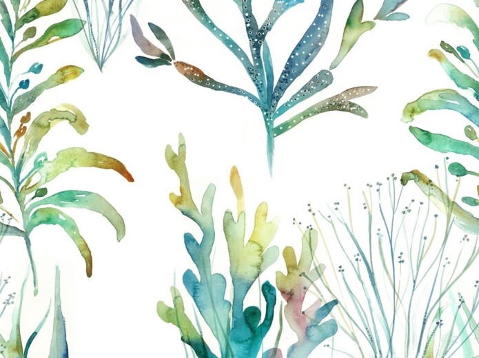 Coral Reef Kelpie Fabric Coral Reef Kelpie Fabric