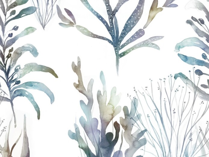 Coral Reef Slate Fabric Coral Reef Slate Fabric