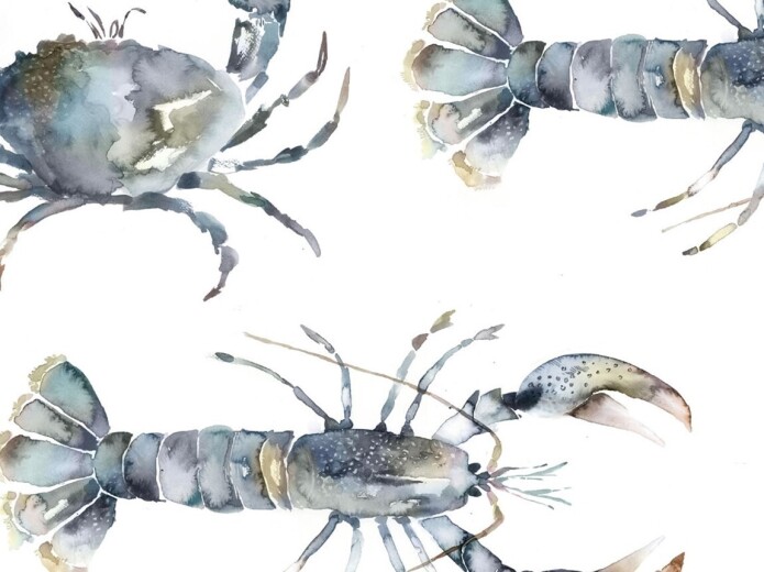 Crustaceans Slate Fabric Crustaceans Slate Fabric