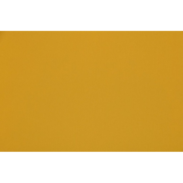 Image of omari sunflower by Ashley Wilde