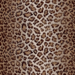 Leopard Panthera Fabric Flat Image