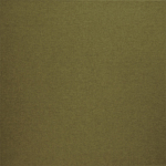 Canvas Pistachio Fabric Flat Image