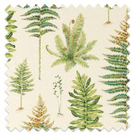 Swatch of Fernery Olive