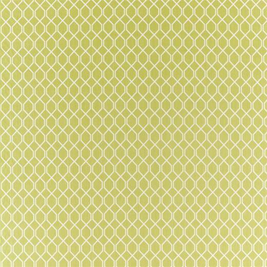 Made To Measure Roman Blinds Botanical Trellis Lime