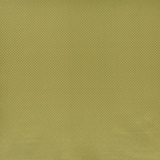 Charleston Olive Fabric