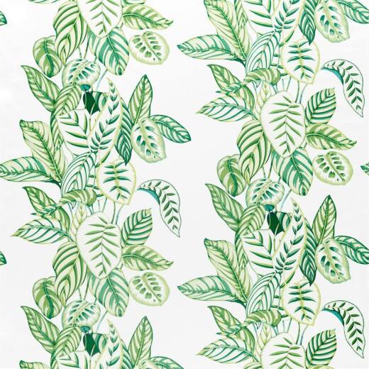 Made To Measure Curtains Calathea Botanical Green