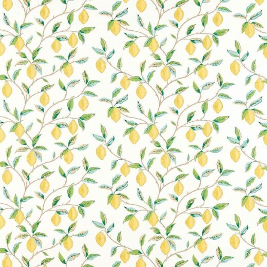 Made To Measure Roman Blinds Lemon Tree Lemon/Bayleaf