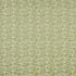 Caravelle Pistachio Fabric by iLiv