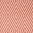 Dazzle Conch/Madder Fabric by Sanderson