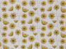 Made To Measure Roman Blind Dandelion Mobile Sunflower Yellow