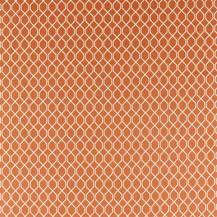 Botanical Trellis Papaya Fabric by Sanderson