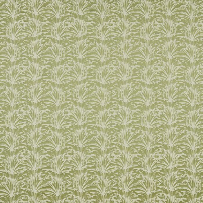 Caravelle Pistachio Fabric by iLiv