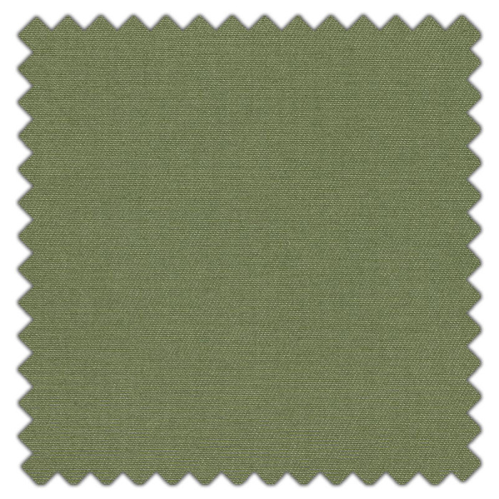 Swatch of Karuna Olive by iLiv