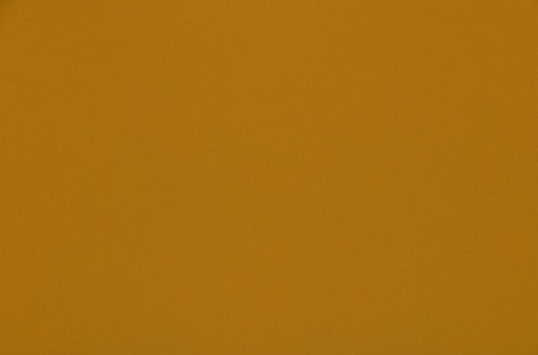 Image of omari saffron by Ashley Wilde