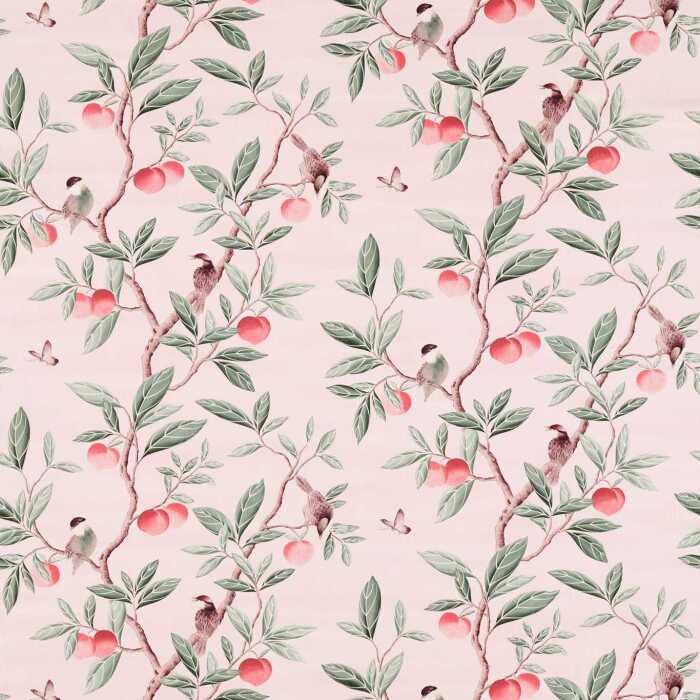 Ella Powder/Sage/Peach Fabric by Harlequin