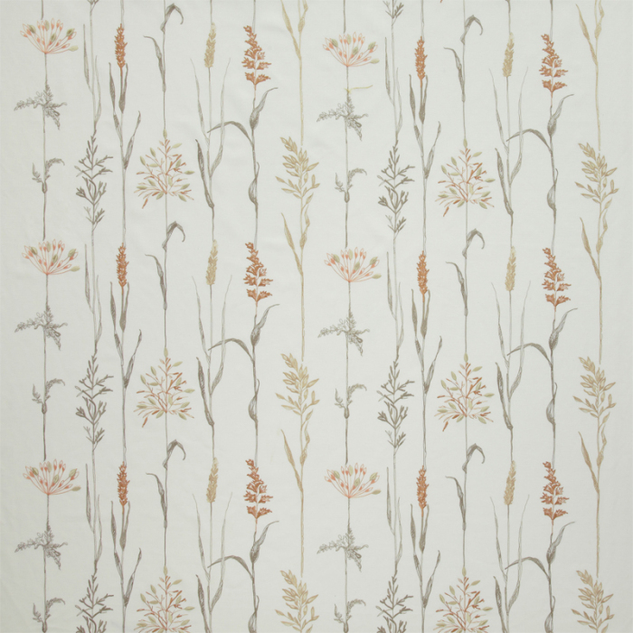 Made To Measure Roman Blinds Field Grasses Coral Flat Image