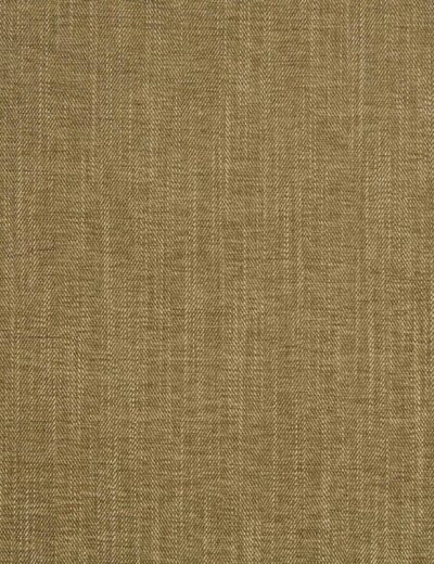 Albany Moss Fabric