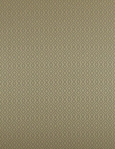 Draco Gold Fabric