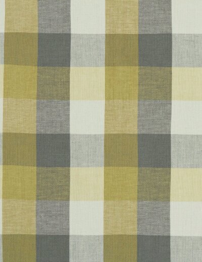 Austin Check Citron/Natural Fabric