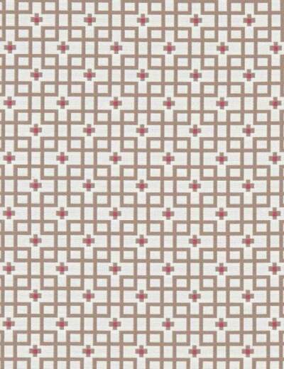 Axis Raspberry Fabric