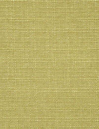 Brixham Apple Fabric