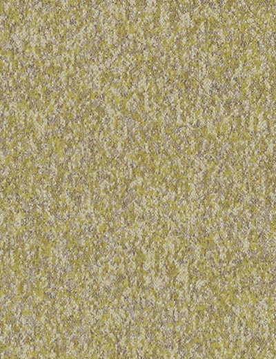 Clake & Clarke's Logan Chartreuse Fabric