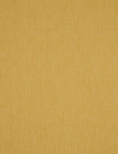 Asana Gold Fabric