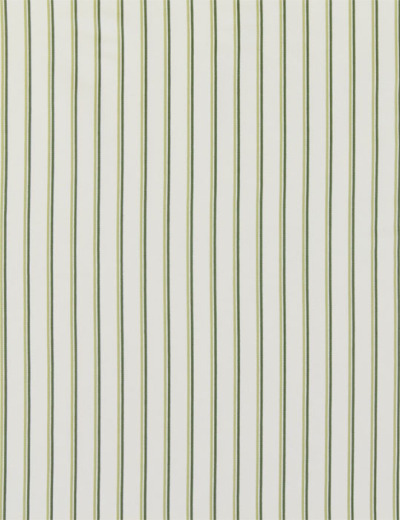 Keene Olive Fabric