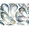 Image of mussel shells slate by Voyage