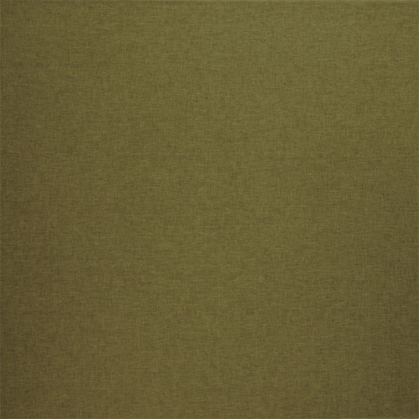 Canvas Pistachio Fabric Flat Image