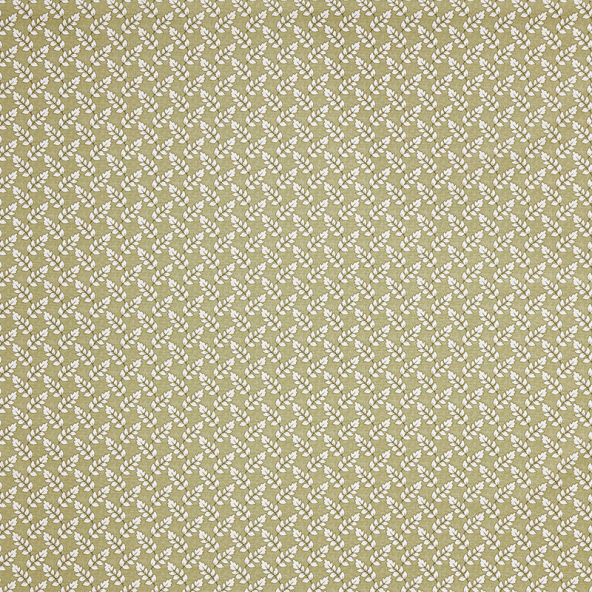 Maidenhair Fennel Fabric Flat Image